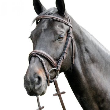 Prestige Bridle E38