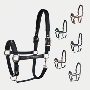 Cavezza Equiline Timmy
