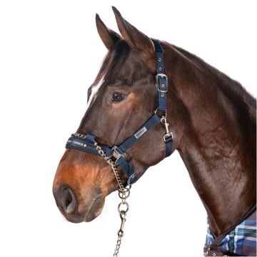 Eskadron Control Headcollar