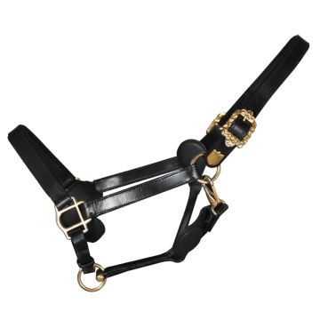 Bridon  en Cuir Model Espagnol
