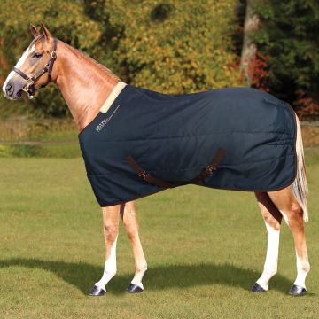 Horses Fluffie Dream Stable Rug 300g