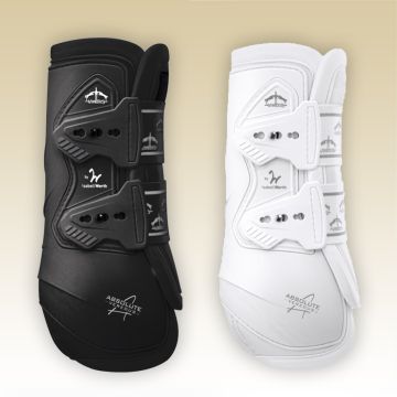 Paratendini Veredus Absolute Elastic Front
