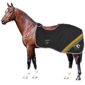 Coprireni Pile Horses Team