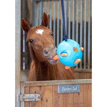Palla Per Cavalli Carrot Ball