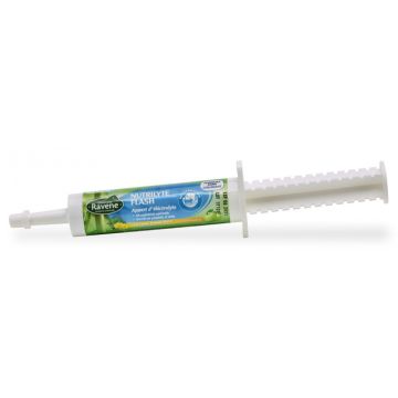 Ravene Nutrilyte Flash Syringe 