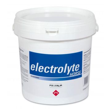 Electrolitos FM Italia Electrolyte Horse 