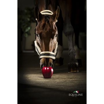 Cavezza Equiline Tom Ecowool