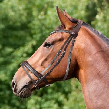 Equityum Shaped Leeds Bridle