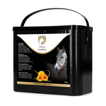 Excellent Herbs Marigold