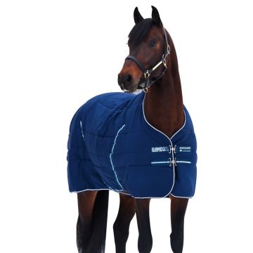 Coperta Box Invernale Rambo Stable Rug Horseware 