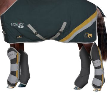Paracolpi Trasporto Horses Team