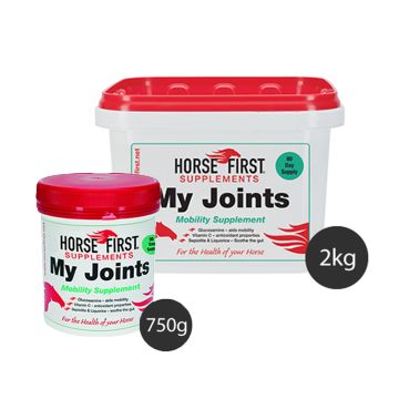 Suplemento Horse First MY JOINTS