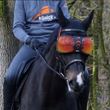 eQuick Brille eVysor Orangen Linsen