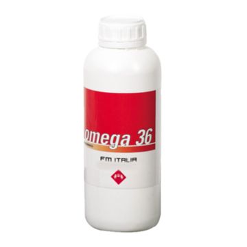 FM Italia Omega 36