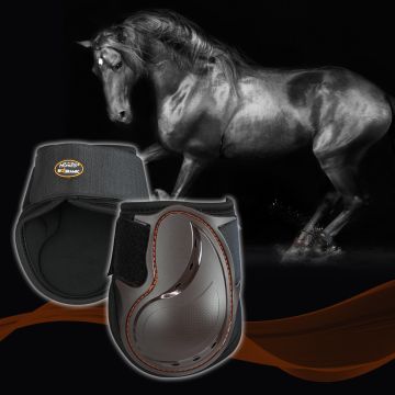 Protectores de Menudillo Horses Bio Ceramic