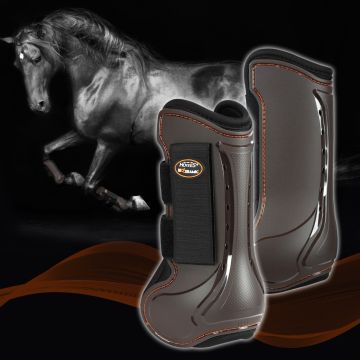 Horses Bio Ceramic Tendon Boots