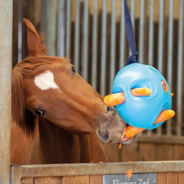 Pferdeball Carrot Ball