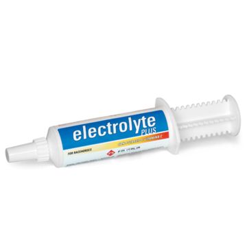 Seringue FM Italia Electrolyte Plus