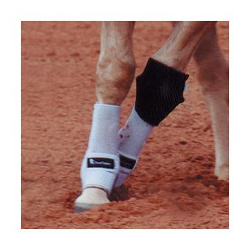 Genouillère Classic Equine Noire 