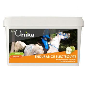 Endurance Electrolyte Unika