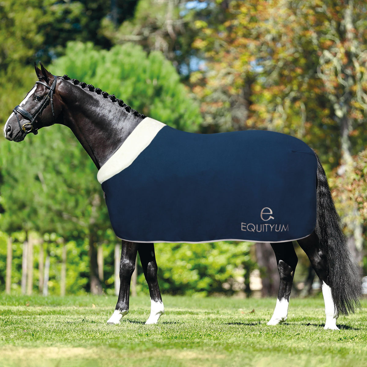 Equityum Cassia Fleece Rug